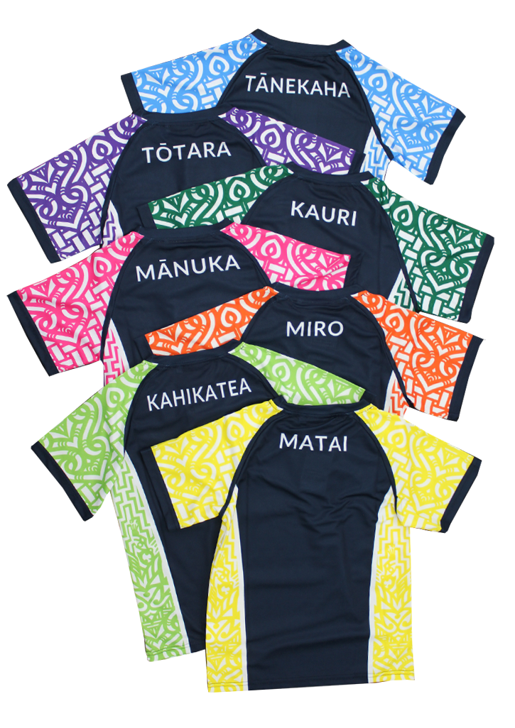 Tauranga Intermediate House Tee